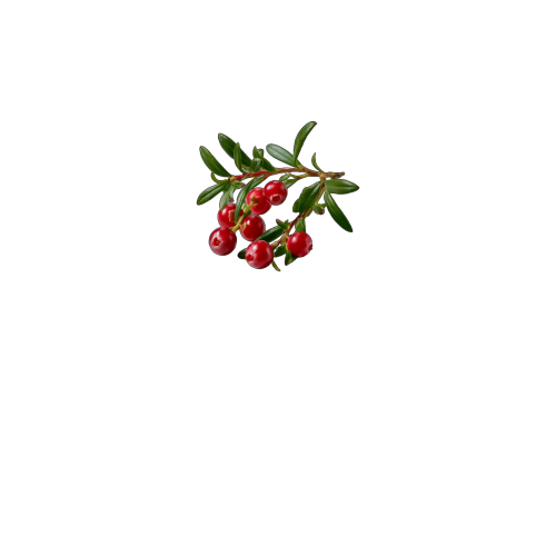 вид спереди
