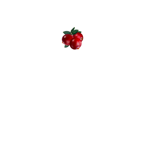 вид спереди
