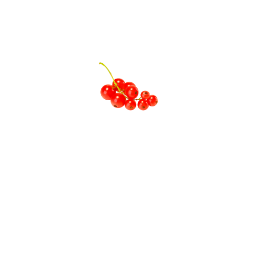вид спереди