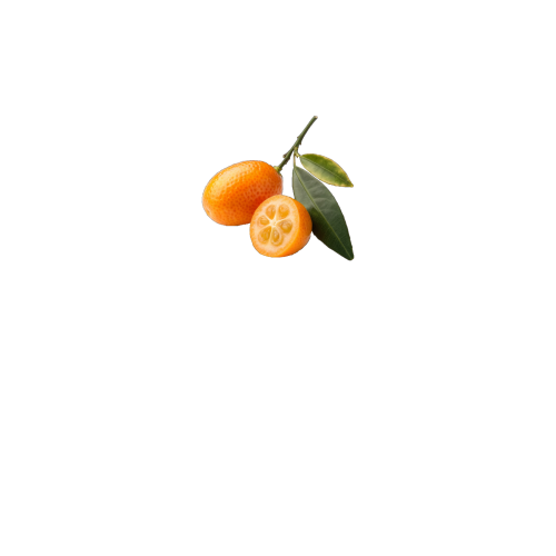 вид спереди