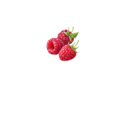 вид спереди