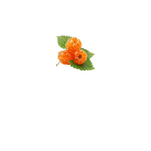 вид спереди