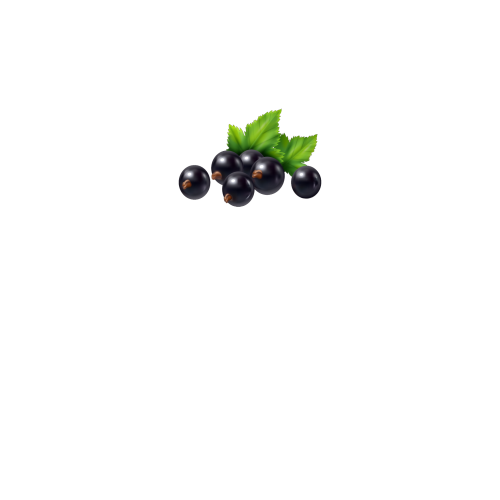 вид спереди