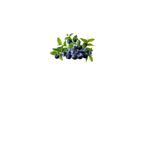 вид спереди