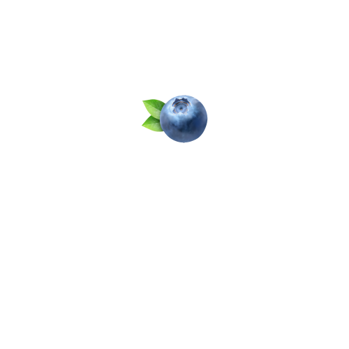 вид спереди