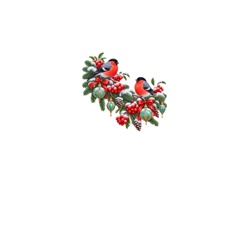 вид спереди