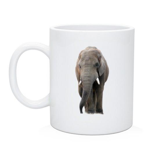 Чашка з великим слоном (1)
