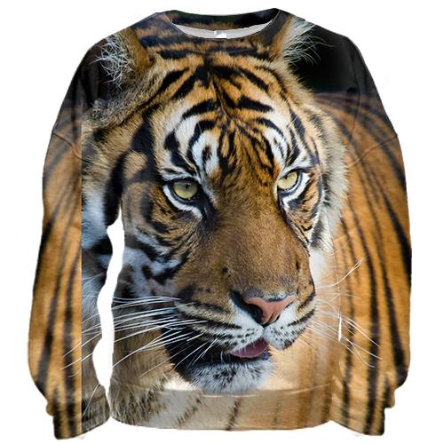 3D свитшот Big Tiger