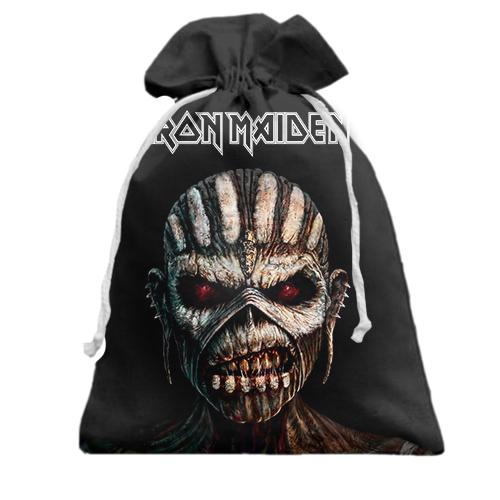 Подарочный мешочек Iron Maiden - The Book of Souls (2)