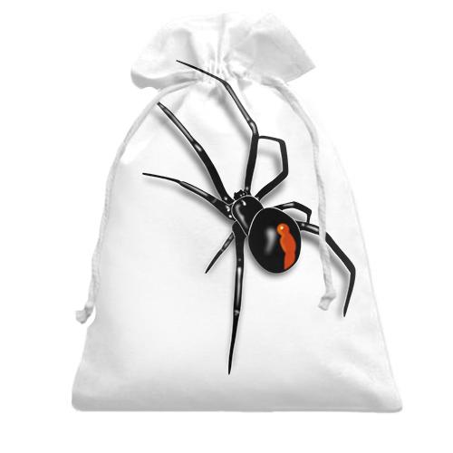 Подарунковий мішечок з павуком