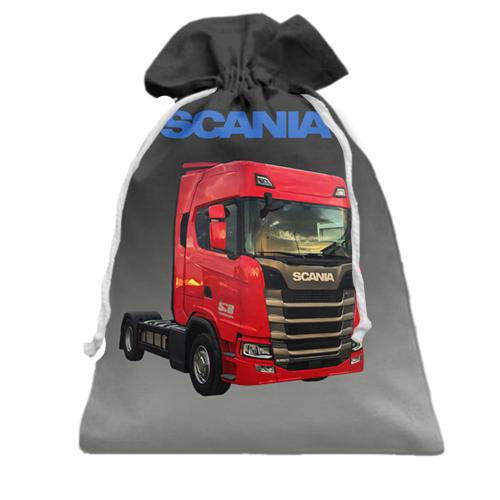 Подарунковий мішечок Scania (2)