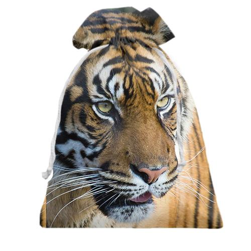 Подарочный мешочек Big Tiger