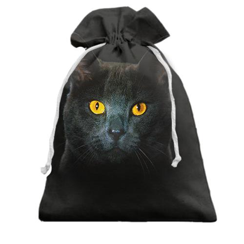 Подарочный мешочек с черным котом