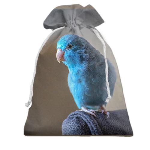 Подарочный мешочек с синим попугаем