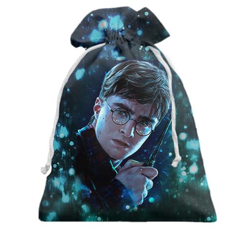 Подарочный мешочек с Гарри Поттером
