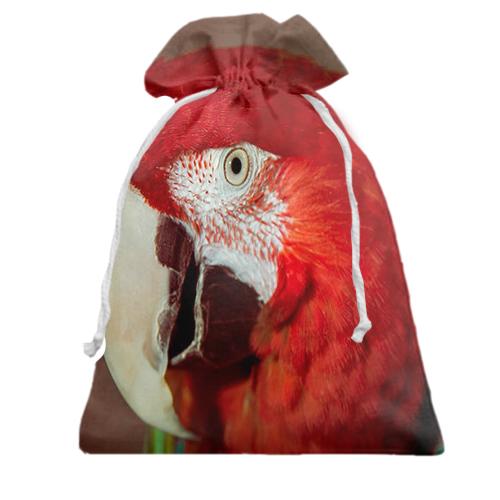 Подарочный мешочек с красным попугаем