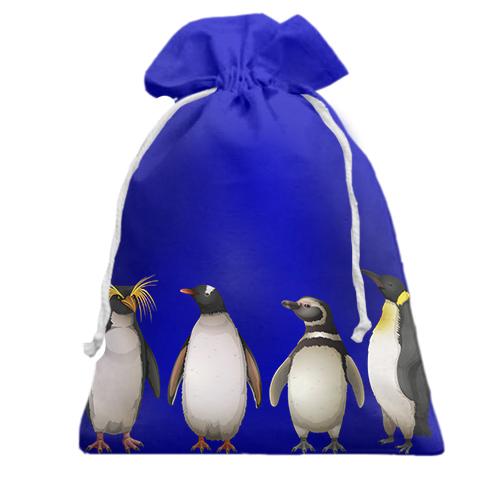 Подарочный мешочек с породистыми пингвинами