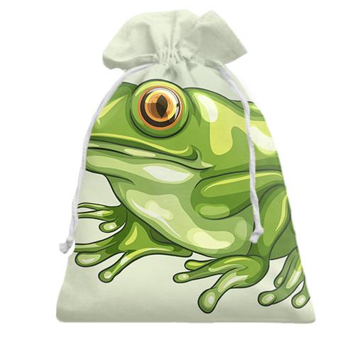 Подарочный мешочек с зеленой лягушкой