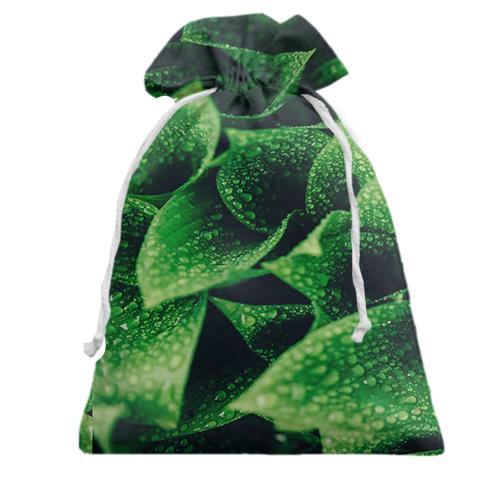 Подарунковий мішечок Патерн зелене листя