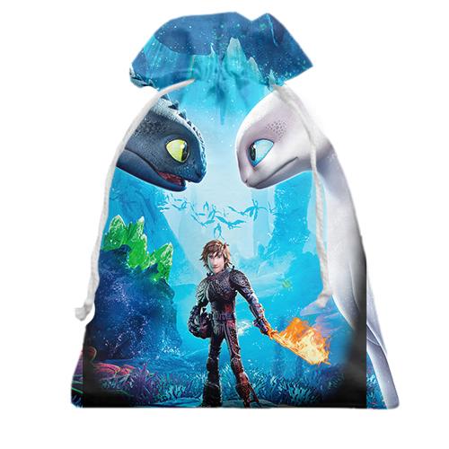 Подарочный мешочек How to Train Your Dragon: The Hidden World