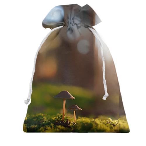 Подарунковий мішечок Mushrooms sunshine
