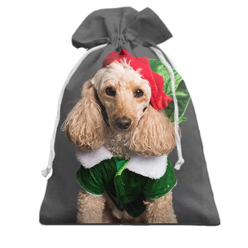 Подарочный мешочек New Year dog 2