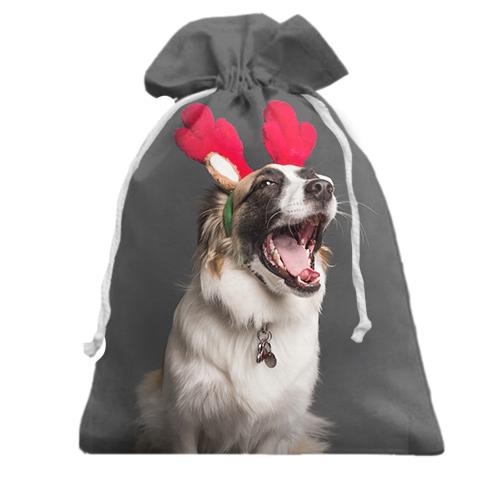Подарочный мешочек New Year dog 3