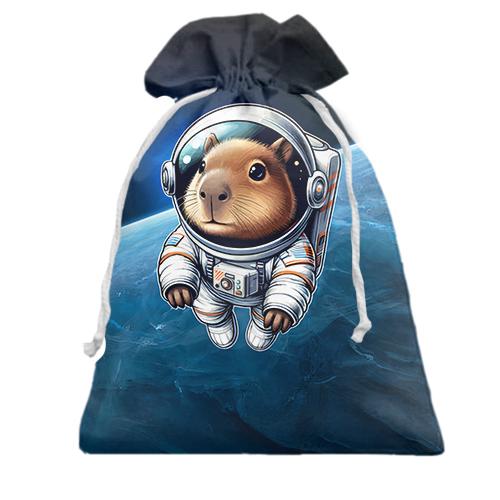 3D Подарунковий мішечок з Капібарою у космосі