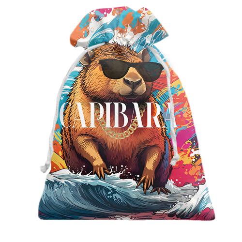 3D Подарунковий мішечок Capibara