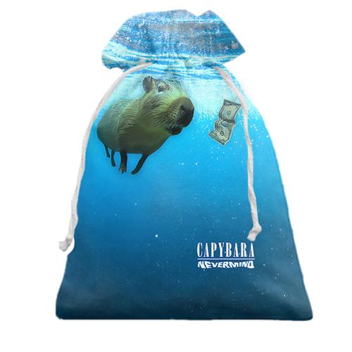 3D Подарунковий мішечок Capibara - Nirvana