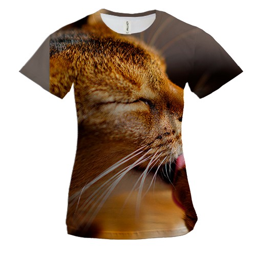 Женская 3D футболка Кот в лучах солнца