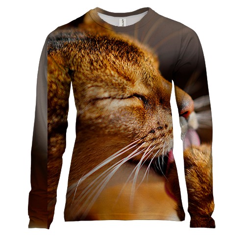 Женский 3D лонгслив Кот в лучах солнца