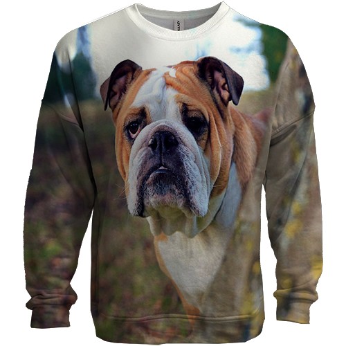 3D світшот з бульдогом