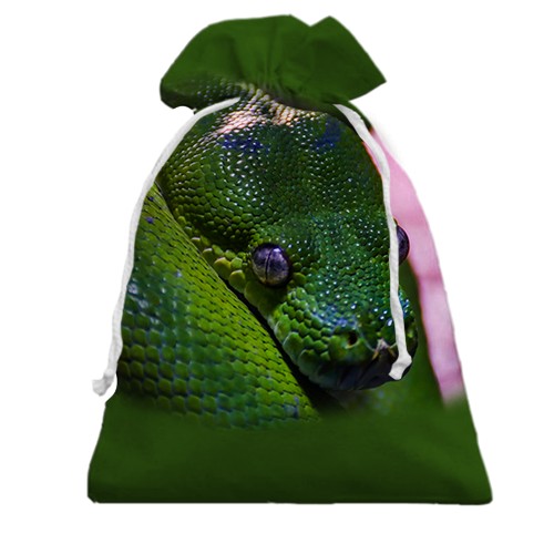 3D Подарочный мешочек с зеленой змеей рептилией
