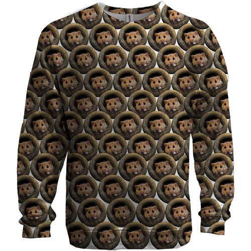 3D свитшот с крысками в норках