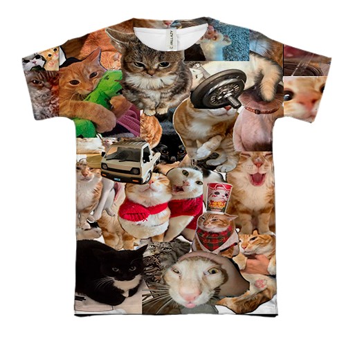 3D футболка Мемные коты