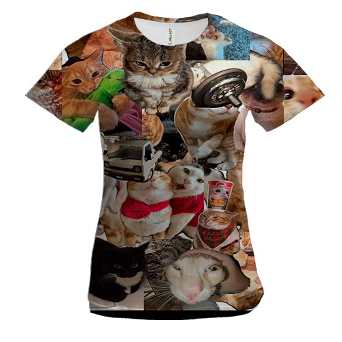 Жіноча 3D футболка Мемні коти