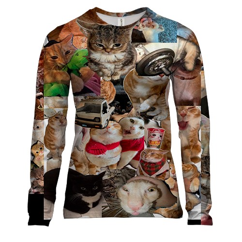 Жіночий 3D лонгслів Мемні коти