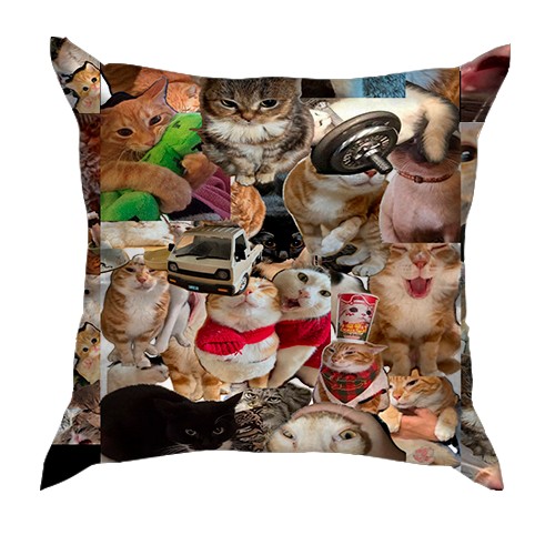3D подушка Мемные коты