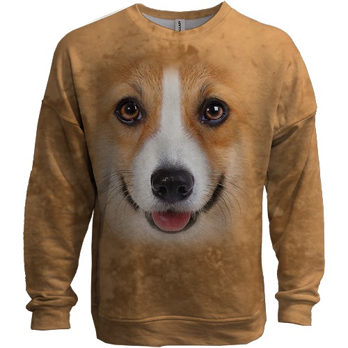 3D свитшот с Корги