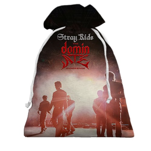 3D Подарочный мешочек Stray Kids - The dominATE experience