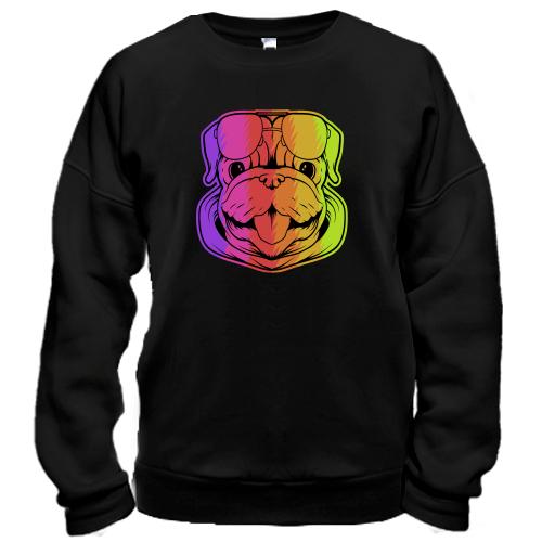 Свитшот Rainbow Dog