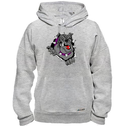 Худи с выглядывающим бульдогом