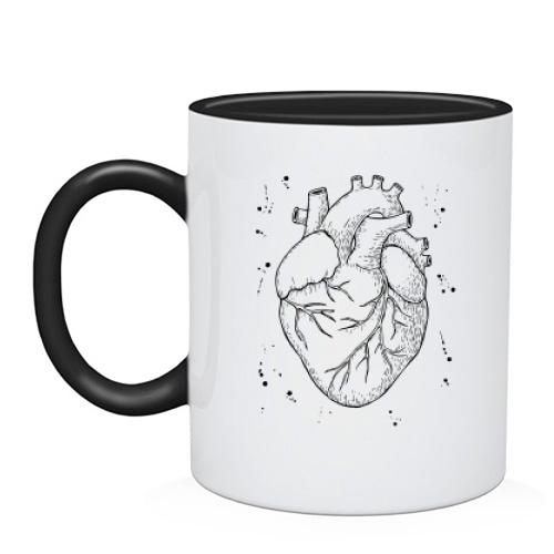 Чашка Anatomical heart