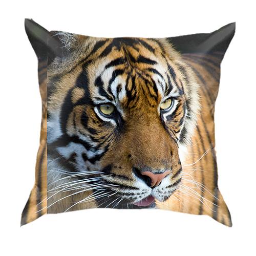 3D подушка Big Tiger