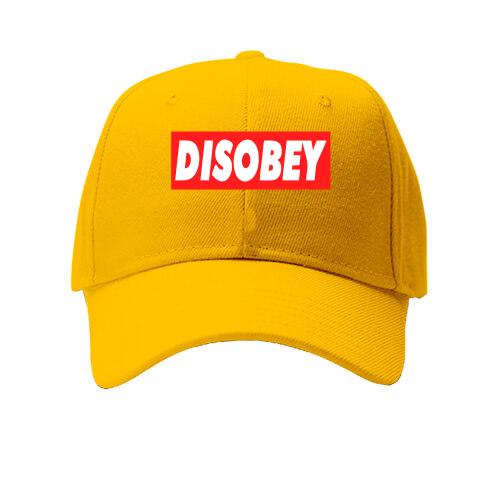 Кепка Disobey