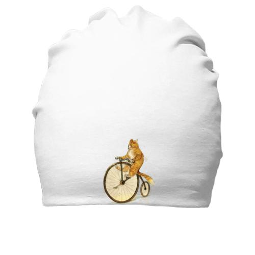 Бавовняна шапка Кіт на велосипеді