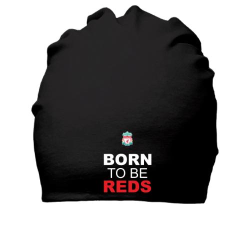 Хлопковая шапка Born To Be Reds (2)