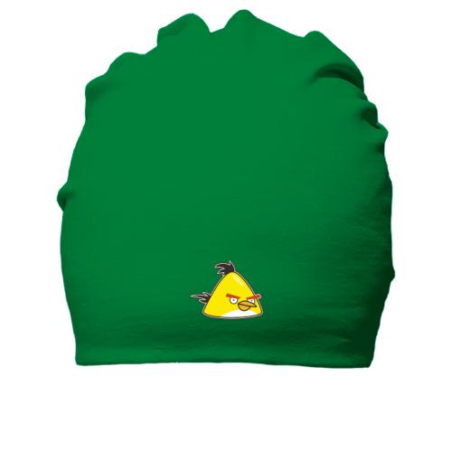 Хлопковая шапка  Yellow bird