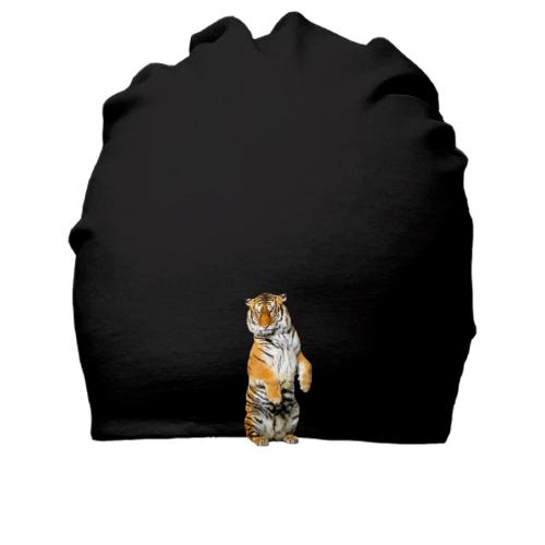 Бавовняна шапка з тигром на двох лапах